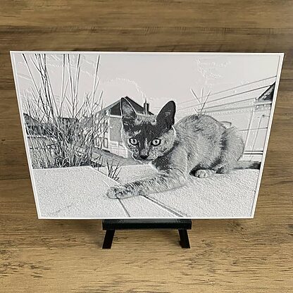 Image 3D avec un chevalet