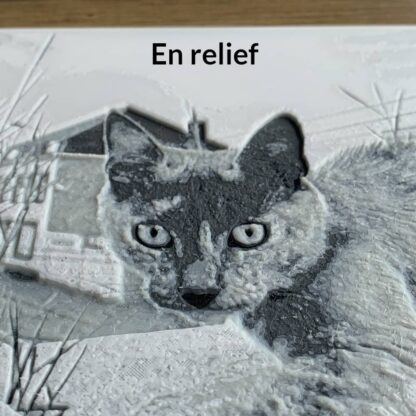 Image en relief 3D