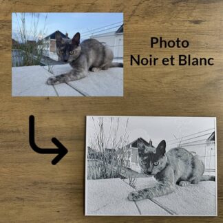 Image imprimée en 3D en noir et blanc
